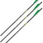 ALLEN XBOW ARROW 20" CX600 3"