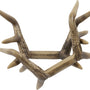 FLEXTONE BATTLE BONES W/ANTLER