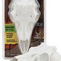 MOUNTAIN MIKE'S DEER SKULL KIT