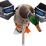 AVIAN X POWERFLIGHT SMART