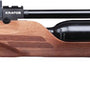 BENJAMIN PCP KRATOS .25 CAL.