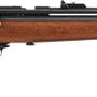 BEEMAN QB78D-177 CO2 .177