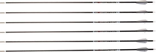 AIR 300 2" Q2i VANES 6PKCARBON EXPRESS ARROW PREDATOR - Camo Crowd