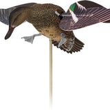 AVIAN X POWERFLIGHT SPINNING - Camo Crowd