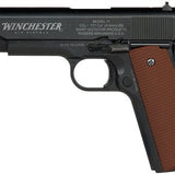 DAISY WINCHESTER MODEL 11 CO2 - Camo Crowd