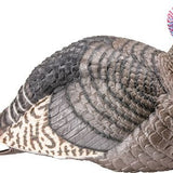 HS STRUT TURKEY DECOY JAKE - Camo Crowd