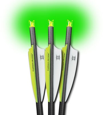 LUMENOK XBOW ARROW 20" CARBON - Camo Crowd