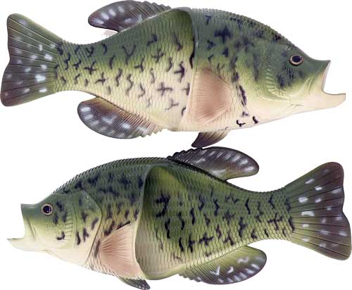 RIVERS EDGE CRAPPIE SANDALS - Camo Crowd