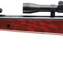 RWS RUGER AIR HAWK RIFLE - Camo Crowd
