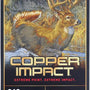 WINCHESTER COPPER IMPACT 243 - Camo Crowd
