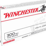 WINCHESTER USA 300 AAC 125GR - Camo Crowd